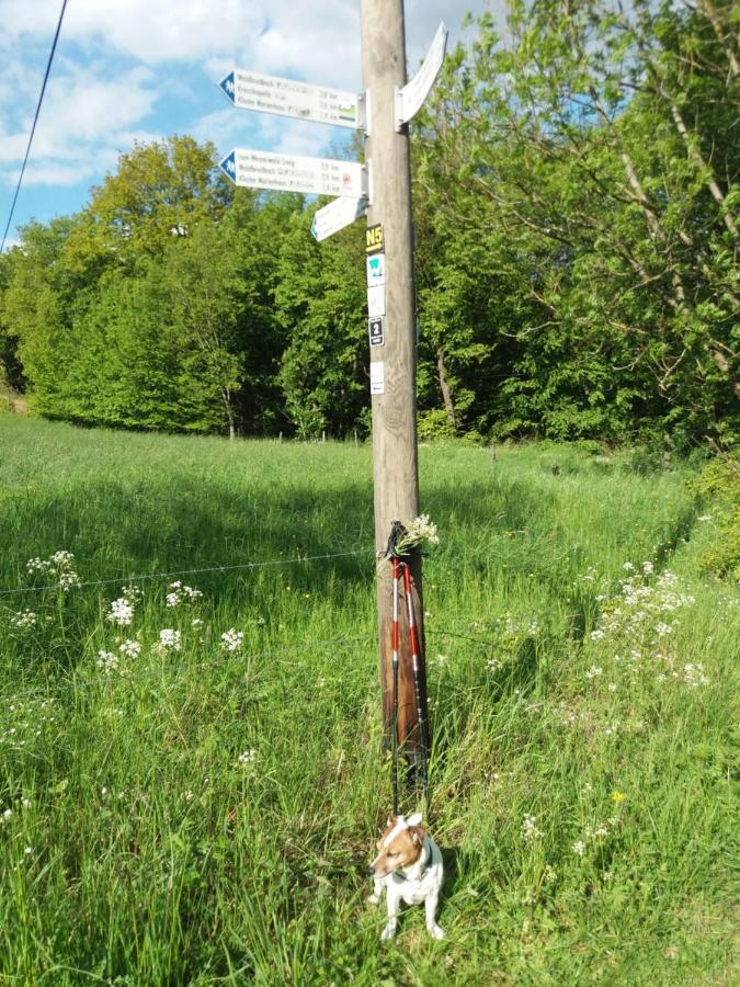 Ferienwohnung Momente Waldbreitbach Kültér fotó